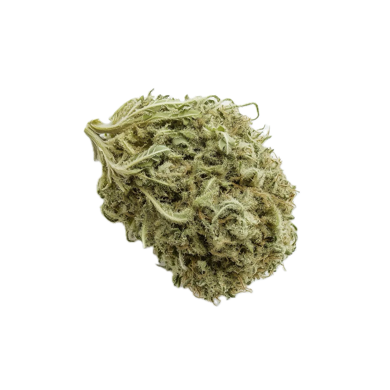 420 Evolution 25/1 WES "Wedding Singer"