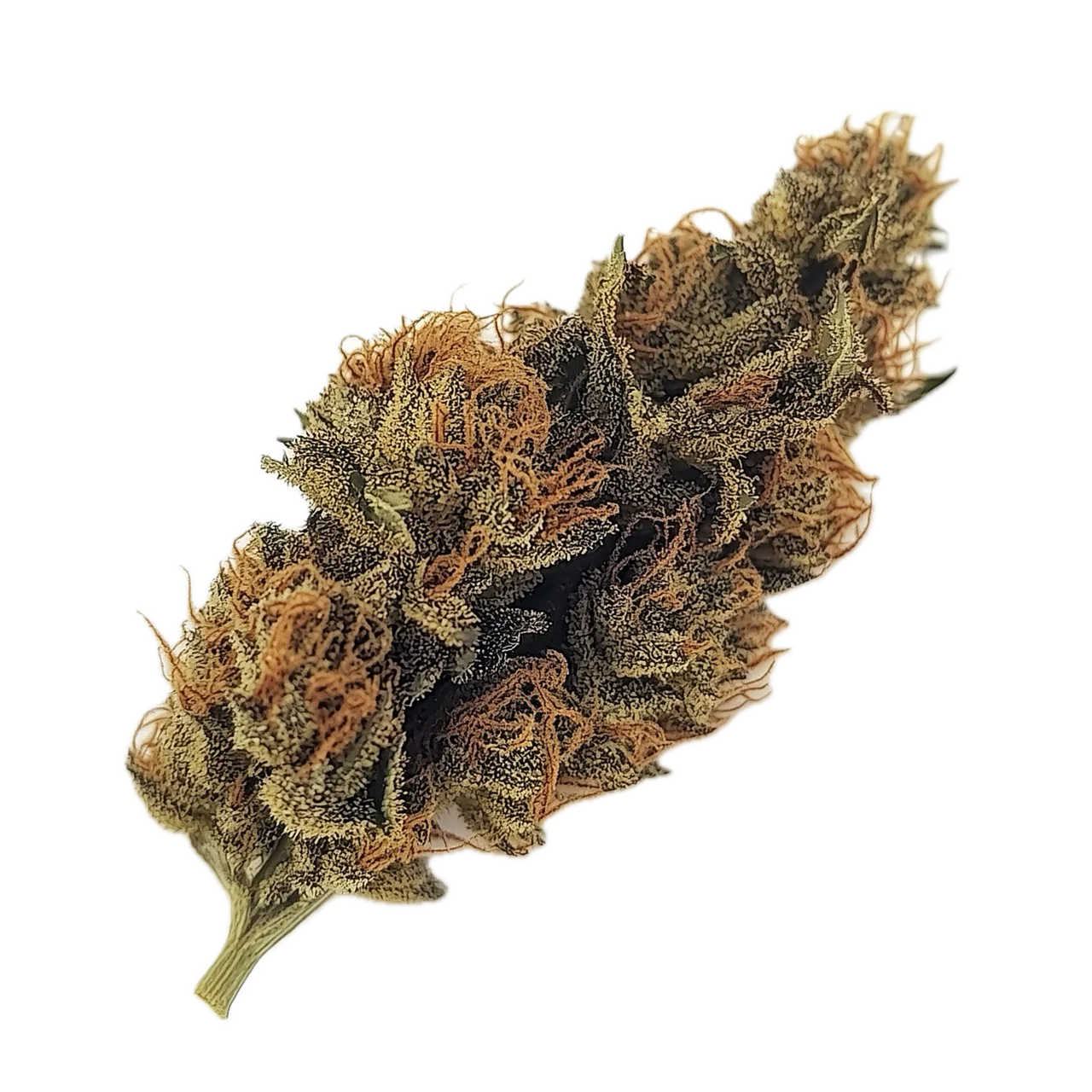 avaay 24/1 KK "Khalifa Kush"