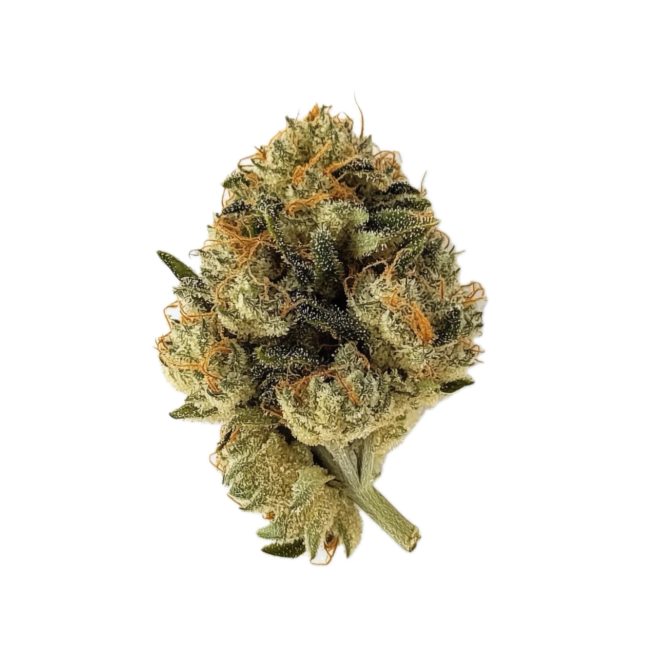 avaay 34/1 SCP "Sour Cherry Punch"