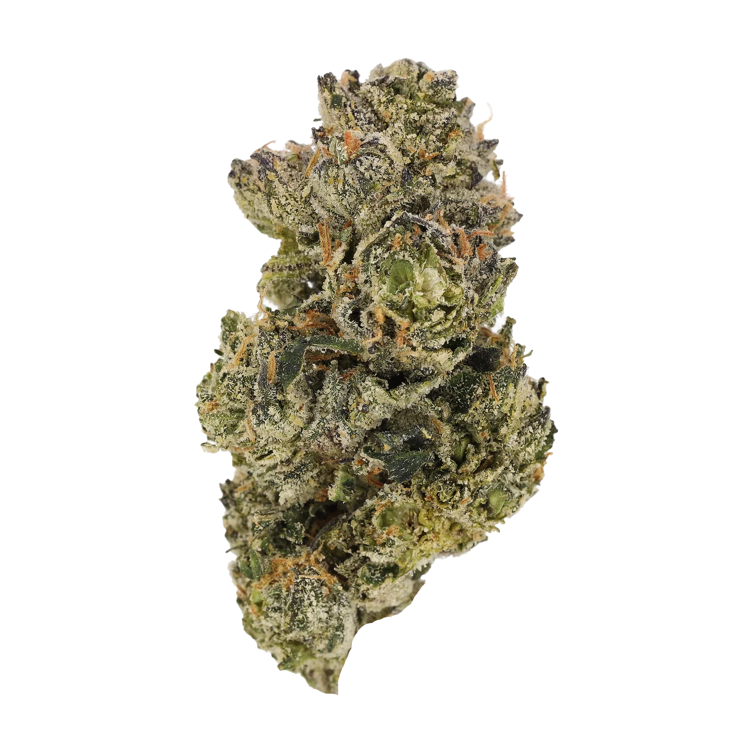 Cannamedical CM Craft 28/1 "Midnight Lotus" - Image 3