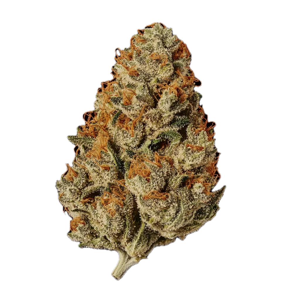 Cannabis zur Entspannung