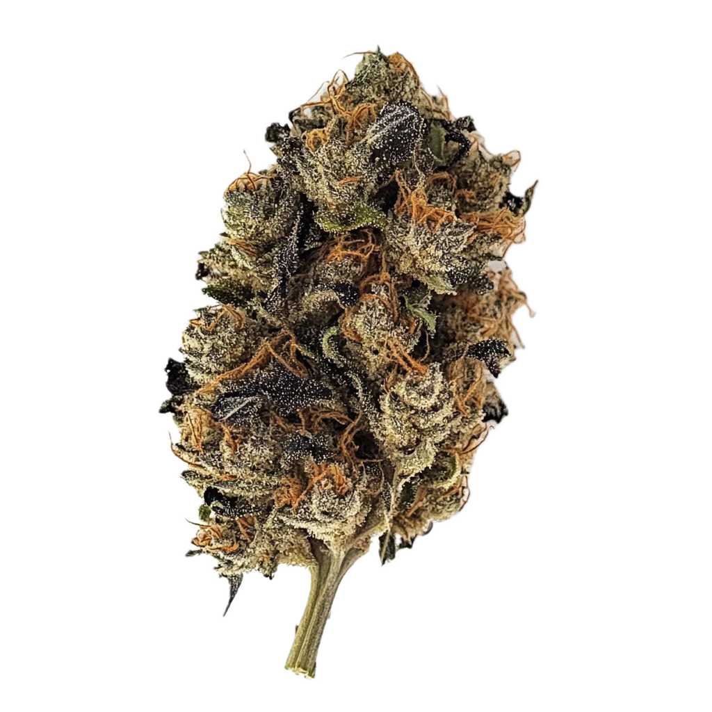 Huala 25/1 CIN "Cinderella Kush"