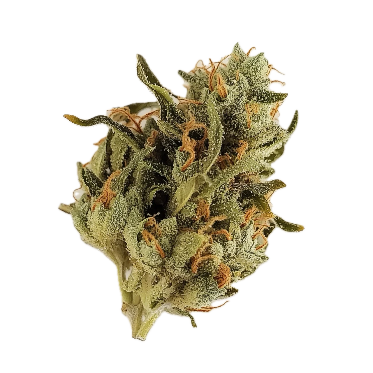 Cannabis unter 10 Euro