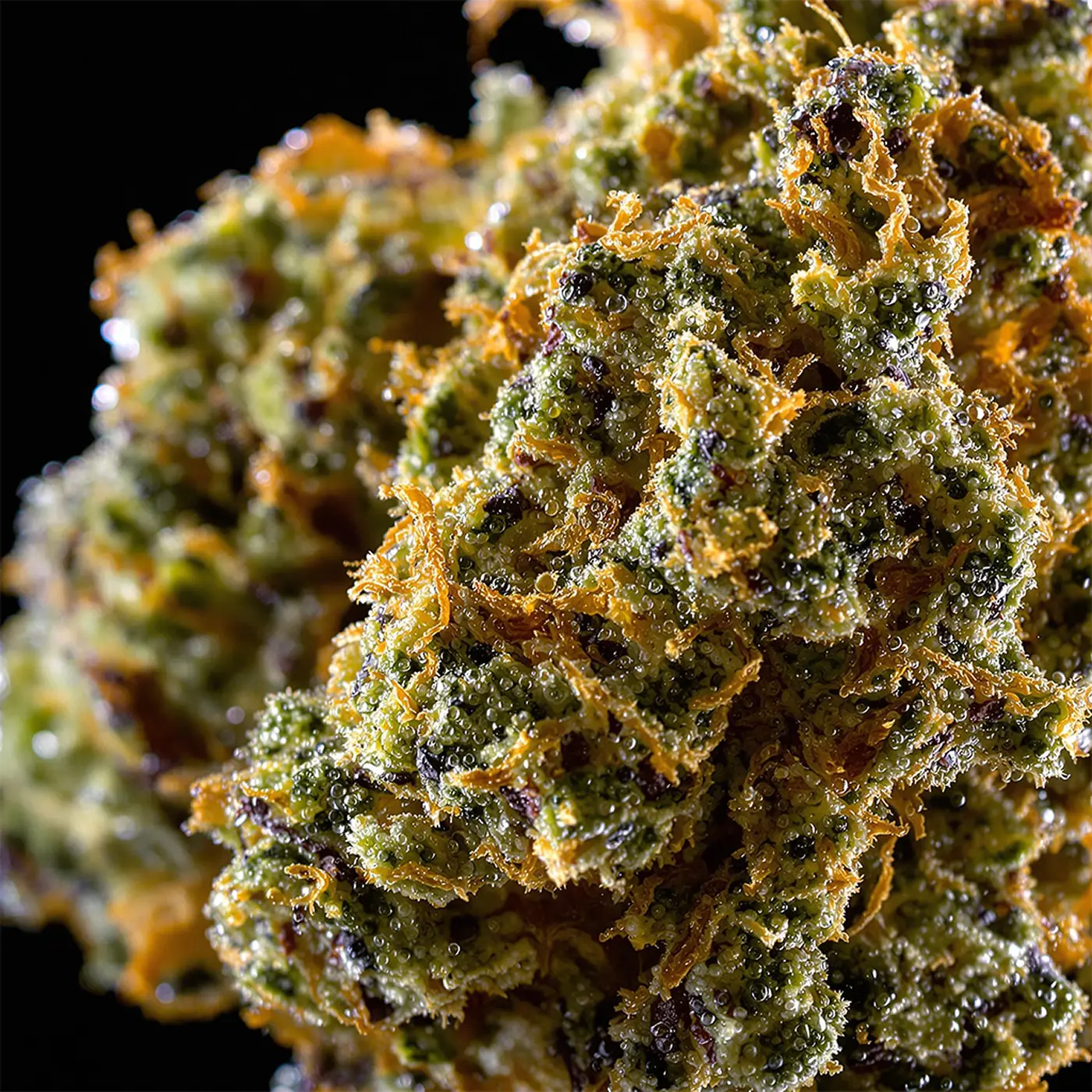 THC Vape - Haze (ohne Akkuträger) 0,5mL - Image 3